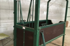 phoca_thumb_l_CepoManejo-Caballo-11